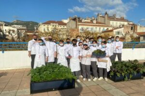 image lycée 1 Bleu Tomate