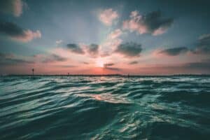 joseph-barrientos-oQl0eVYd_n8-unsplash Bleu Tomate