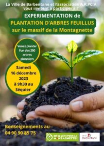 plantation feuillus la Montagnette