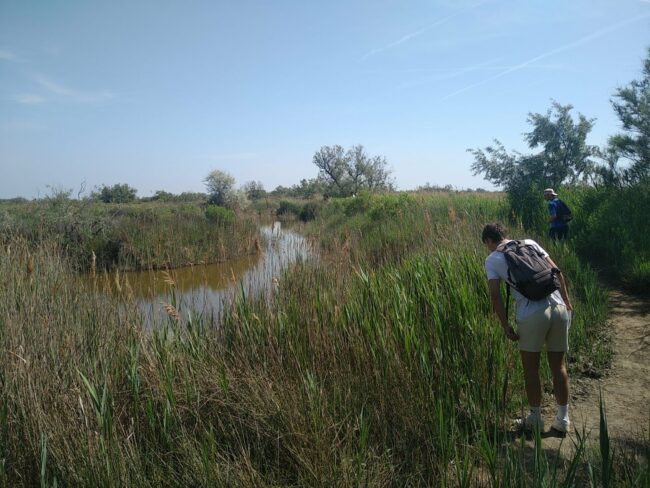 Journée Mondiale des Zones Humides avec le Parc Naturel Régional de Camargue