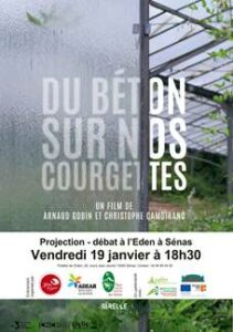 du beton sur nos courgettes Bleu Tomate le mag