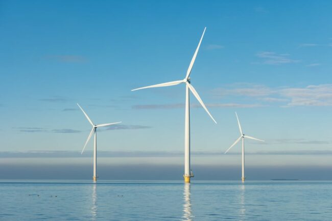 La Mer en Débat : deux webinaires sur l'éolien en mer Bleu Tomate