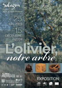 L'Olivier notre arbre @ Musée de Salagon - Mane Bleu Tomate