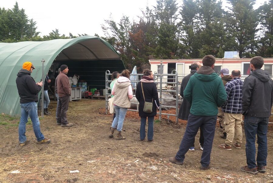 les participants au Salon à la Ferme des Vaches du Luberon visitent les installations