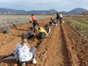 Plantation de haies à Roumoules, avec le Parc Naturel Régional du Verdon @Patricia Carrier Bleu Tomate