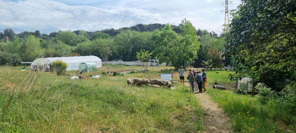 La ferme Fleurs de Marseille, printemps 2023