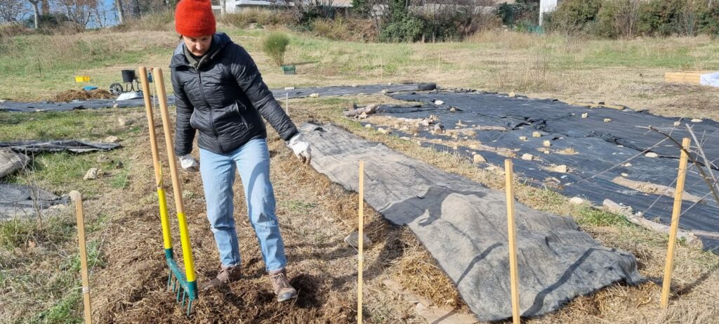 La ferme urbaine horticole Fleurs de Marseille, en février 2023