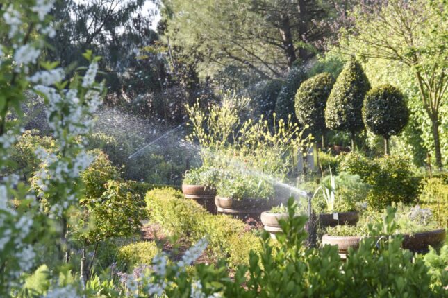 Les jardins du Musée International de la Parfumerie à Mouans Sartoux