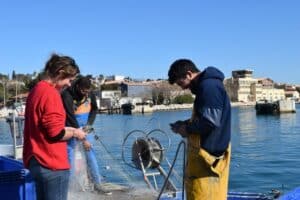 Pêcheurs de Port-de-Bouc et leurs filets