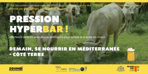 Affiche - Bar des Sciences Bleu Tomate