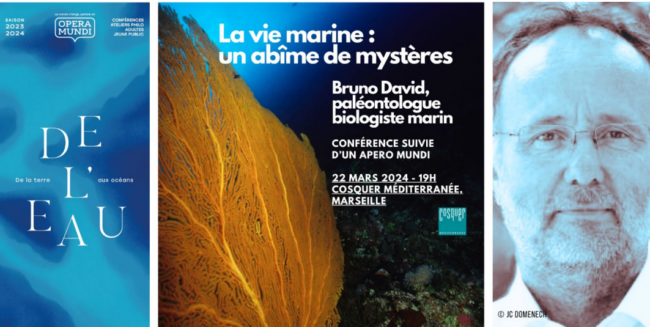 Conférence sur la vie marine