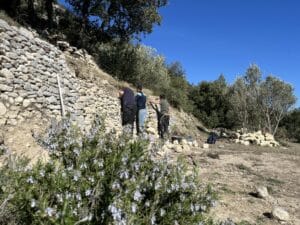 mur plus haut Bleu Tomate
