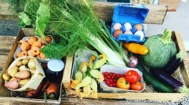 panier de légumes du jardin, de saison