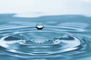 L'eau Bleu Tomate le mag