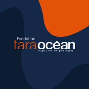 fondation tara océan Bleu Tomate