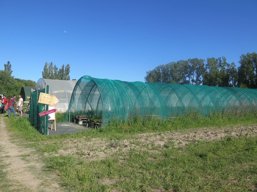 les installations d'Emilie Barde à Pernes-les-Fontaines (84)