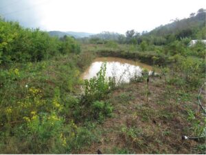 Bassin d’orage rempli par la pluie au jardin-forêt des Etangs à Tourves (83) ©Permalab Bleu Tomate