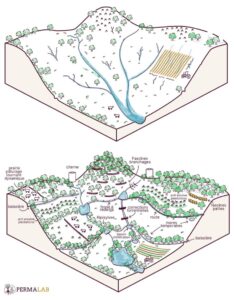 Schéma d’un projet d’aménagement d’hydrologie régénérative ©Permalab Bleu Tomate le mag