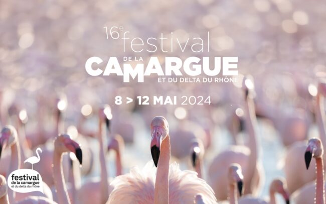 du 8 au 12 mai, le festival de la camargue accueille photographes, reporters,