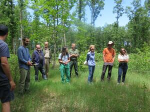 le groupe dans la forêt
