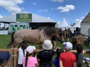 Des enfants assistent à une démonstration de chevaux de traits au Salon des agriculteurs de Provence