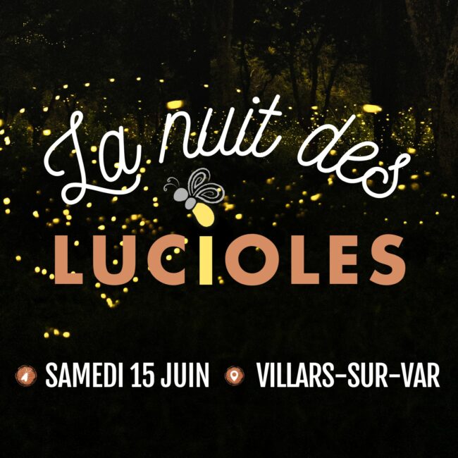 La Nuit des Lucioles, seconde édition Bleu Tomate le mag