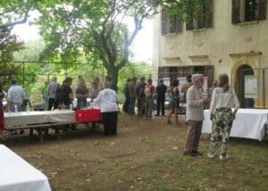l'assistance sous les grands arbres