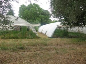 deux serres à la régie agricole de Mouans Sartoux