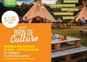 festival brin de culture Bleu Tomate
