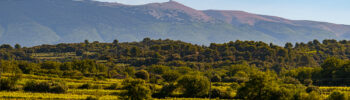 les vignobles de l'AOC Ventoux