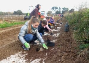 les enfants plantent, tassent et arrosent