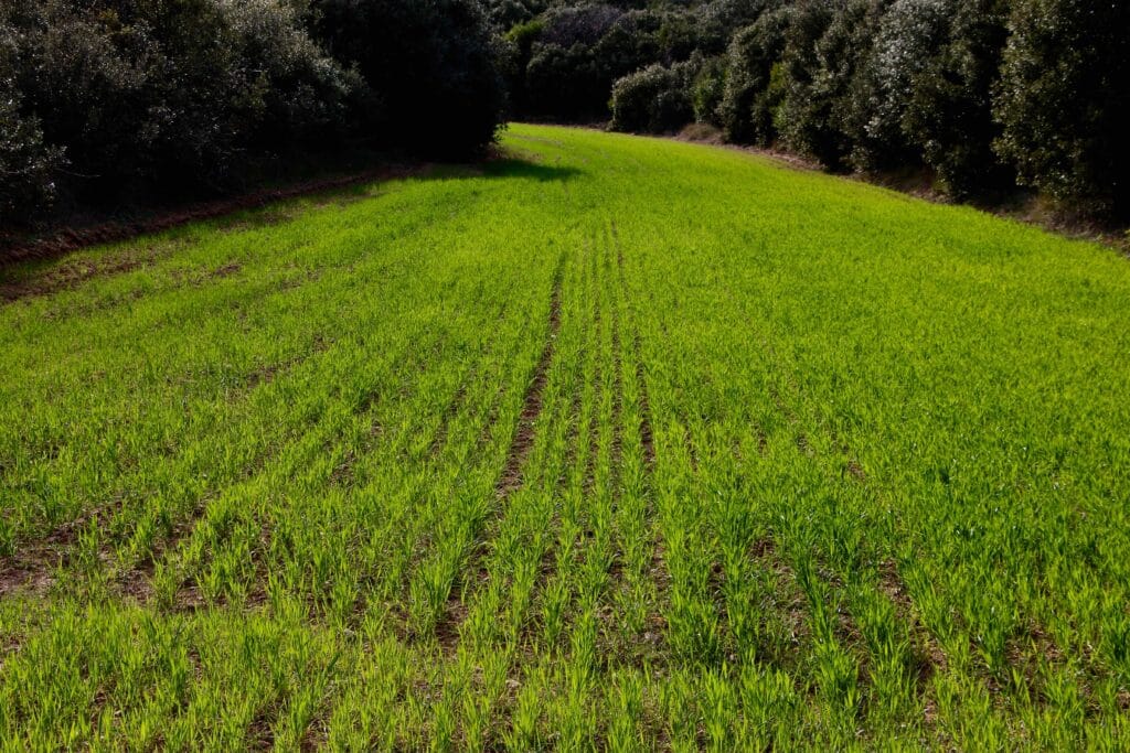 Pour son PAT, le Pays de Fayence choisit la santé Bleu Tomate