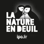 La Nature en deuil : se retrouver à son chevet avec la LPO PACA Bleu Tomate le mag