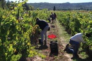 Glossaire environnement Bleu Tomate Bleu Tomate le mag