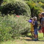 Les petites bêtes du jardin : une aventure familiale pour petits et grands