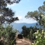 Visite thématique : À la rencontre du littoral, entre terre et mer