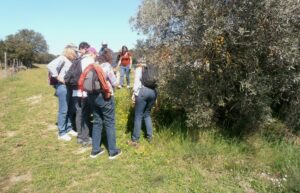 le groupe devant des arbres