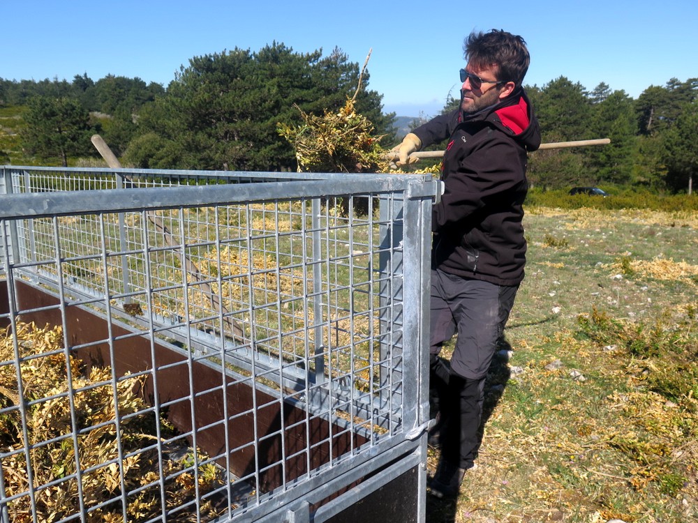 le technicien du Parc remplit la remorque avec les branches de buis coupé