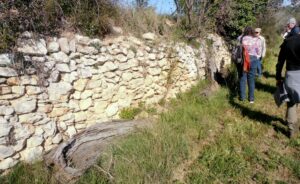 les baladeurs cherchent les plantes le long des murs