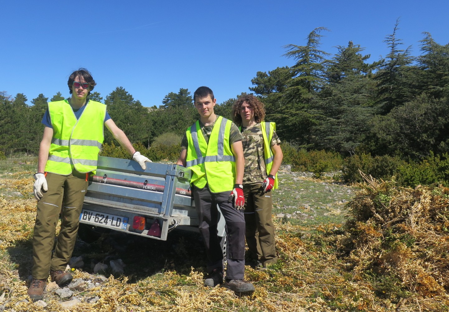 Ventoux : moins de buis, plus de biodiversité Bleu Tomate le mag
