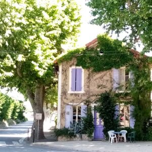 Projection du film "Arbres", avec la LPO et le Parc Naturel Régional du Luberon Bleu Tomate