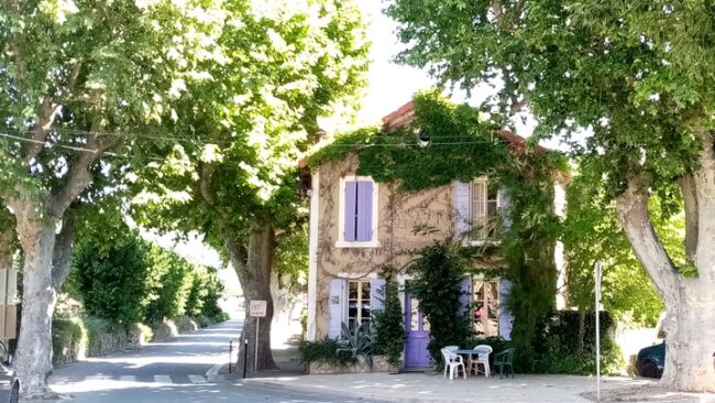 Projection du film "Arbres", avec la LPO et le Parc Naturel Régional du Luberon Bleu Tomate