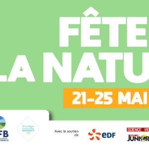 La Fête de la Nature en Région Sud PACA Bleu Tomate
