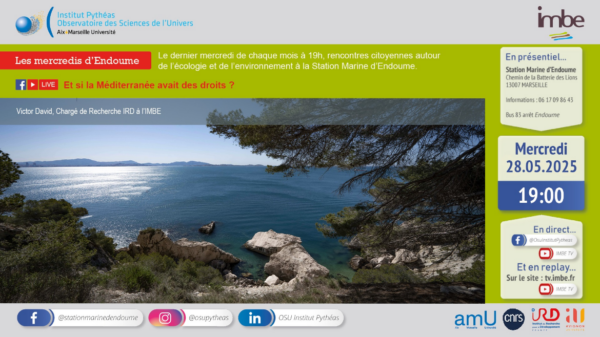 Les mercredis d'Endoume : et si la Méditerranée avait des droits ??? Bleu Tomate