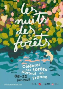 nuit des forêts Bleu Tomate