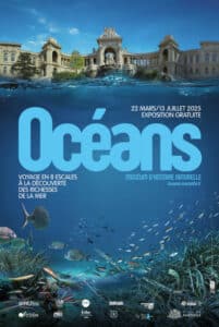 Exposition "Océans" au Muséum d'histoire naturelle de Marseille Bleu Tomate