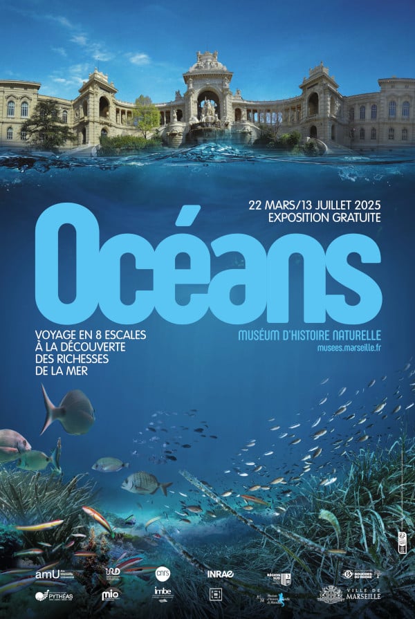 Exposition "Océans" au Muséum d'histoire naturelle de Marseille Bleu Tomate