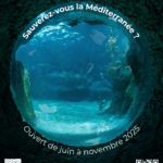3ème année pour l'Escape Game Surfrider Foundation à Marseille Bleu Tomate