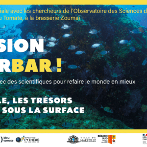 Pression Hyperbar - “À Marseille, les trésors sont aussi sous la surface” Bleu Tomate