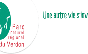 Conférence sur la pollution lumineuse et l'extinction nocturne Bleu Tomate